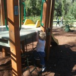 raven street reserve