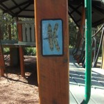 downfall creek walking trail