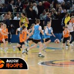 basketball queensland