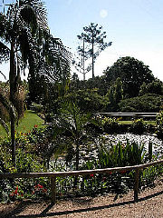 mount-cotton-rainforest-gardens Mount-Cotton-Rainforest-Gardens