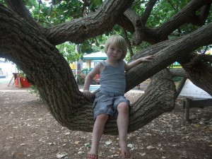 scarborough beach park fenced playgrounds in brisbane