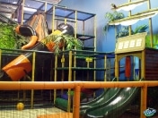 geckos browns plains geckos-activity-centre