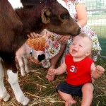 farm billies