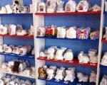plaster paris activity
