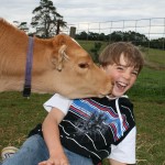 nick2 kissing a cow