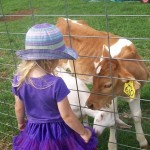 Maleny Dairies
