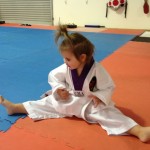 IMG_0248 king tae kwon do