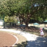 inner city brisbane park