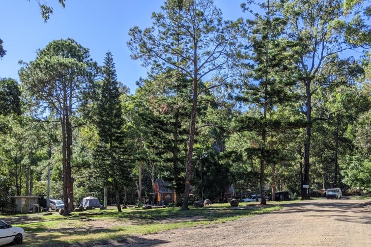 Thunderbird Park in Mount Tamborine Brisbane Kids