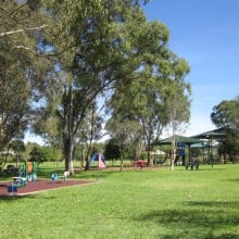 Pest control in Chermside